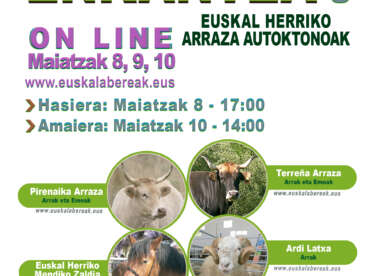 ARRAZA ANITZEKO ENKANTEA ONLINE