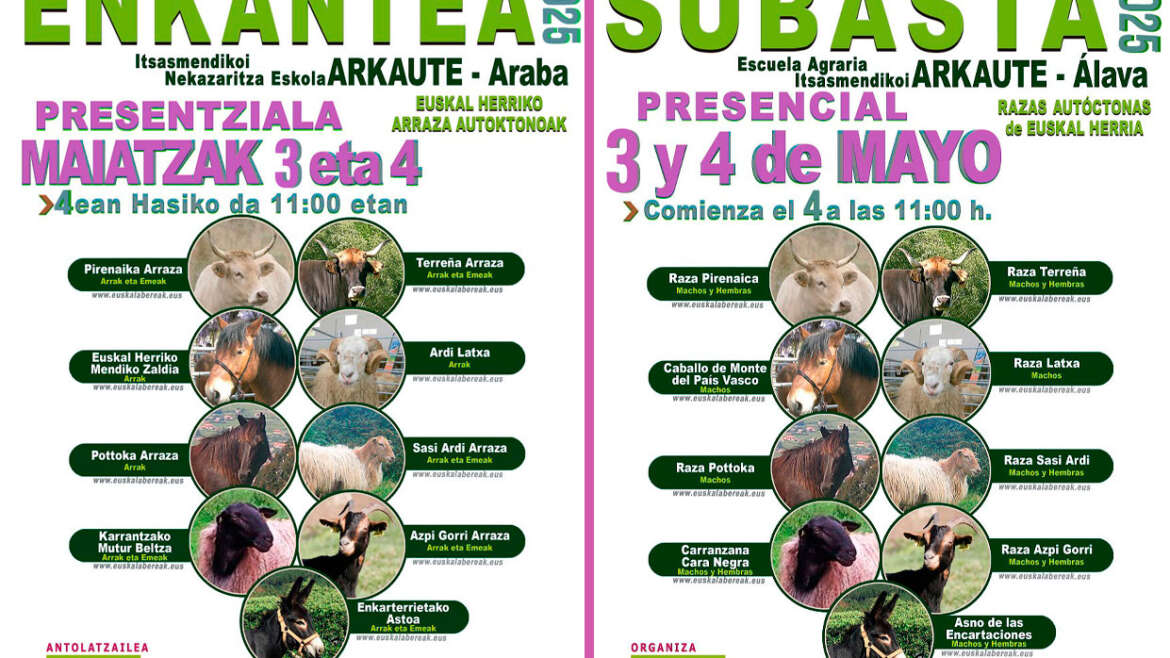 Euskal Herriko Arraza Autoktonoen Ganaduaren Arkauteko Enkantea 2025. Emaitzak