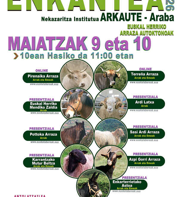 Euskal Herriko Arraza Autoktonoen Ganaduaren Arkauteko Enkantea 2026