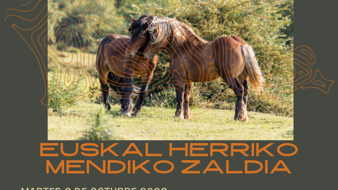 XVII Concurso de Euskadi