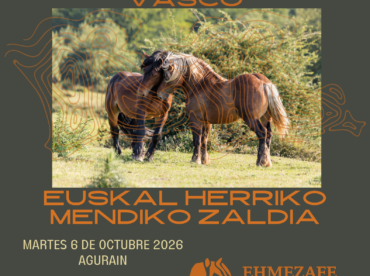 XVII Concurso de Euskadi